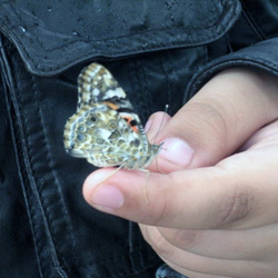 JennyAubry_histoire9